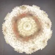 snstの画像