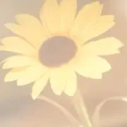 まあやの画像