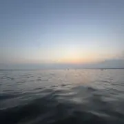 めの画像