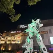 こーきの画像