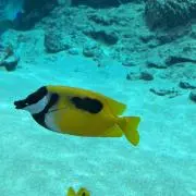 suk25の画像