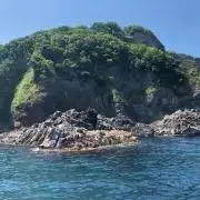 Kライダー⭐︎の画像