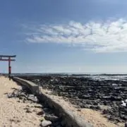 ぽりの画像