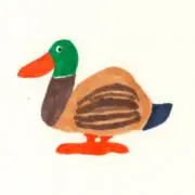 y.0303の画像