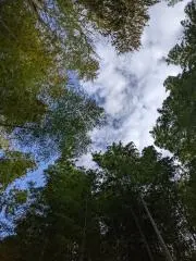 yuaの画像