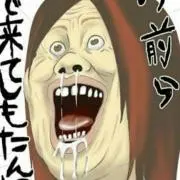 どんぎつねの画像