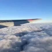 7/6-発送_トランジットの画像