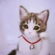 モナの画像