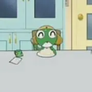 ふわの画像