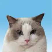 ロロのしっぽの画像
