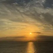 たなの画像