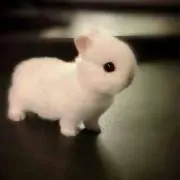 あずさゆ☆プロフ確認してください☆