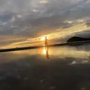 照井