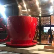 mintoの画像