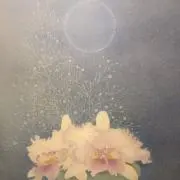 nano36963の画像