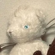 白猫アパレル《私物販売》24時間以内発送の画像