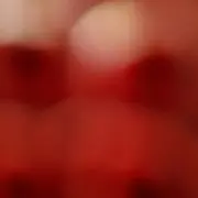 蜂の巣