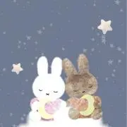 出品は8/12までですの画像