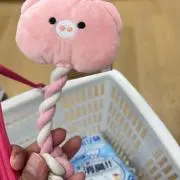 ラスク(プロフ確認ください)の画像