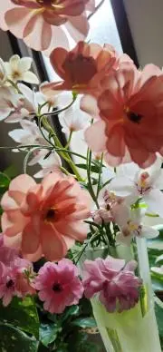 のあの画像