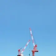 muceluluの画像