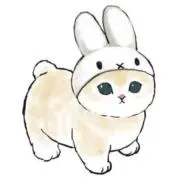 ミライの画像