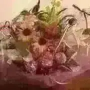 メリー♡プロフ必読→6/30発送お休みの画像