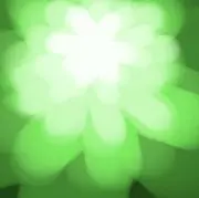 葉っぱ☘の画像