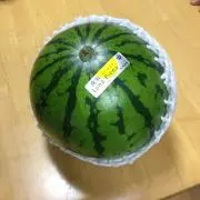 ネイビー