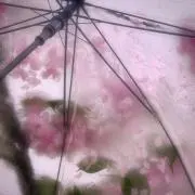 yの画像