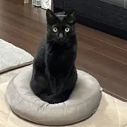 ルーン王子の画像