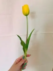 3pi Tagの画像