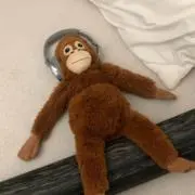 くまみるの画像
