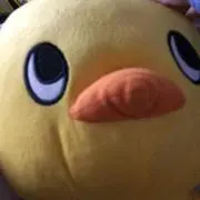 7月引っ越し