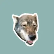 ぺけお。