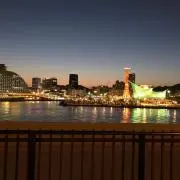 さえ