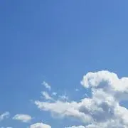 tamoonの画像