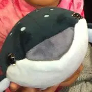 さわきち