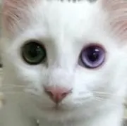 ノリ