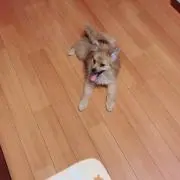 ヒデ