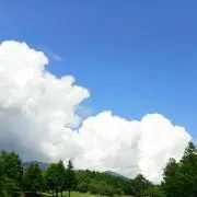れんれんの画像