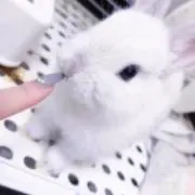 そいらて