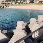 いぬ