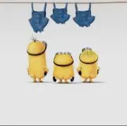 チャピ