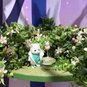 miichamaの画像