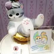 Miyuの画像