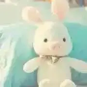 りぃの画像