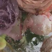 板尾の嫁