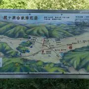 ぴよまつ