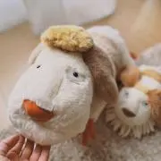 はるの画像
